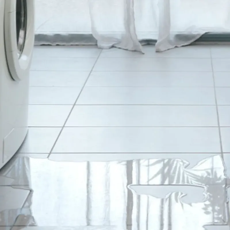 Appliance Leak Cleanup in Cut and Shoot, TX