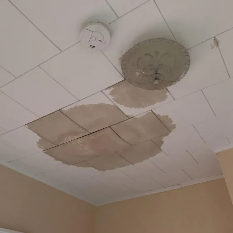 Ceiling Water Damage Repair in Cut and Shoot, TX
