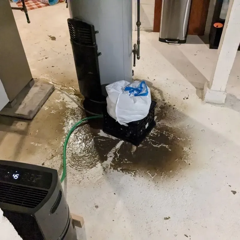 Sewage Backup Cleanup Service in Cut and Shoot, TX